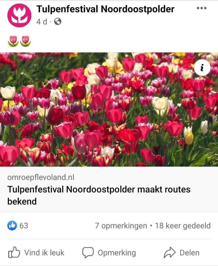 Vakantiehuis Aan Het Bos - Gelegen Aan De Tulpenroute Bant Exterior photo